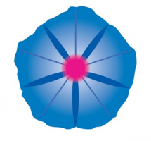 logo volubilis logo volubilis